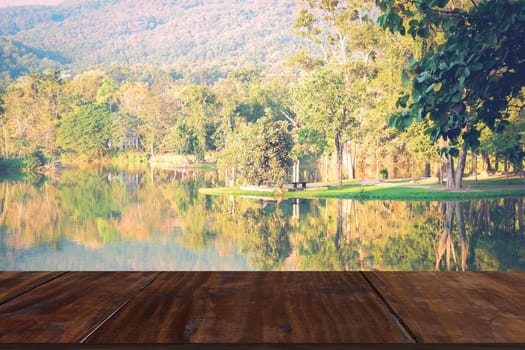 tree and reflection on lake pond