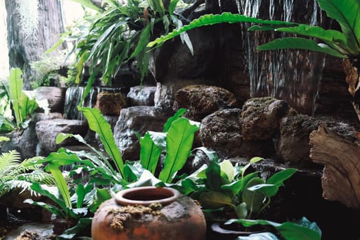 green leaves plant decorating in garden
