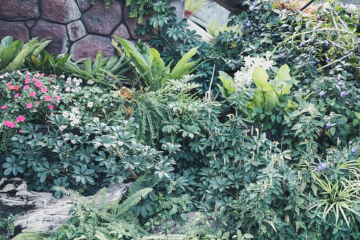 green leaves plant decorating in garden