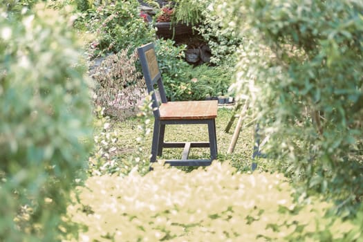 wooden chair seat in garden park