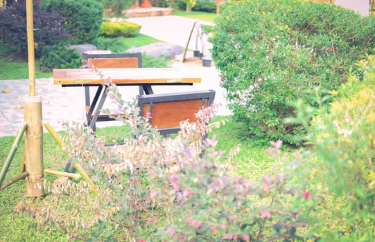 wooden chair seat in garden park
