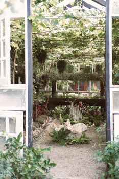 flower plant growing decorating in wooden gazebo pergola in garden