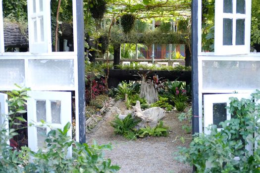 flower plant growing decorating in wooden gazebo pergola in garden