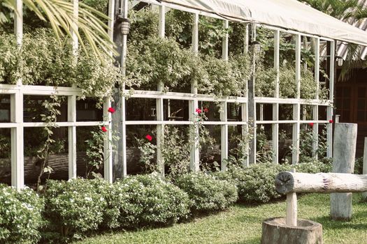 gazebo pergola for growing plant tree in garden