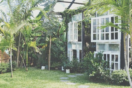 gazebo pergola for growing plant tree in garden
