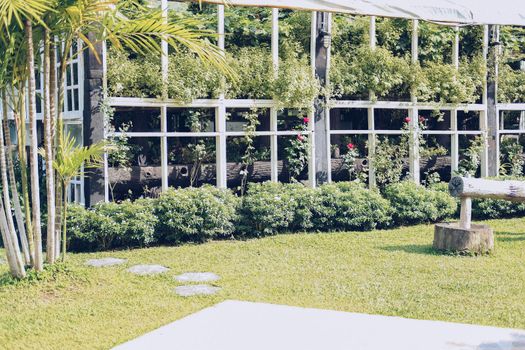 gazebo pergola for growing plant tree in garden