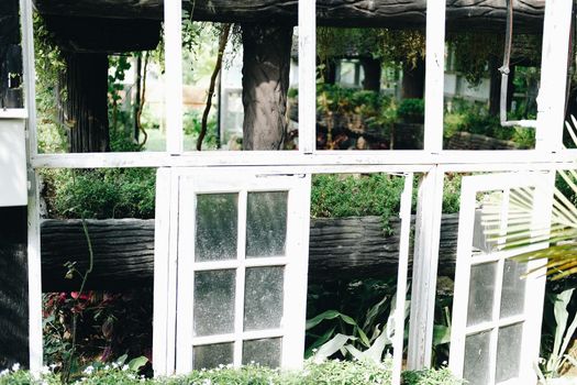 gazebo pergola for growing plant tree in garden
