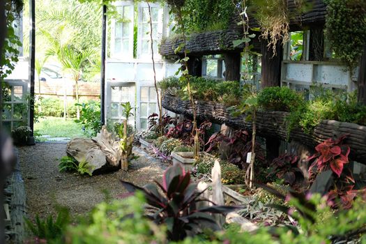 flower plant growing decorating in wooden gazebo pergola in garden