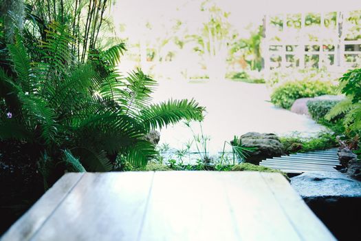 green leaves plant decorating in garden