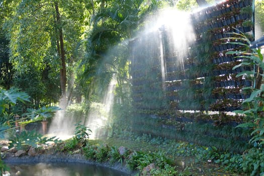 morning sunlight on mist in garden.