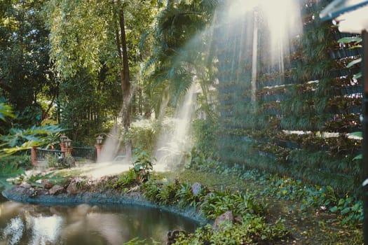 morning sunlight on mist in garden.