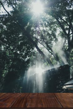 morning sunlight on mist in garden.