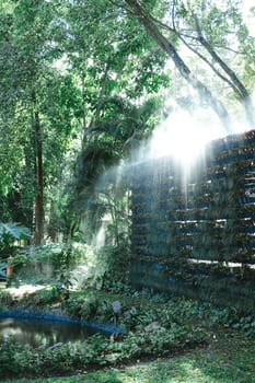 morning sunlight on mist in garden.