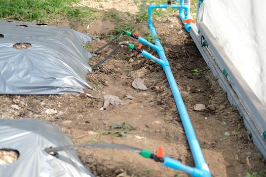 drip water irrigation system for growing plant