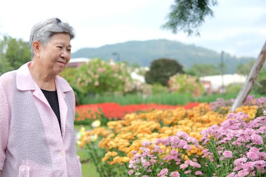 asian old elderly elder woman resting relaxing in garden. senior leisure lifestyle
