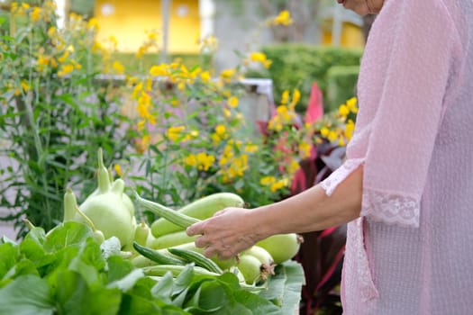 asian old elderly elder woman buying vegetable in market. senior lifestyle