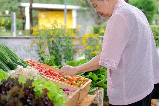 asian old elderly elder woman buying vegetable in market. senior lifestyle