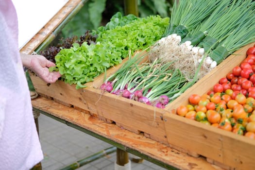 asian old elderly elder woman buying vegetable in market. senior lifestyle