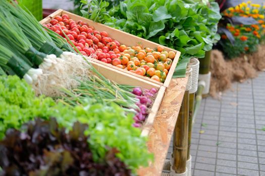 vegetable for sale in grocery store market