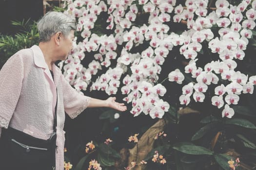 asian old elderly elder woman resting relaxing in garden. senior leisure lifestyle