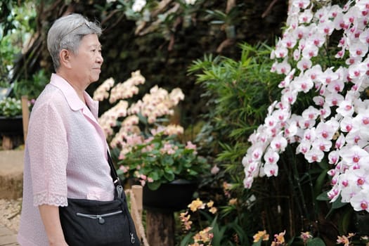 asian old elderly elder woman resting relaxing in garden. senior leisure lifestyle