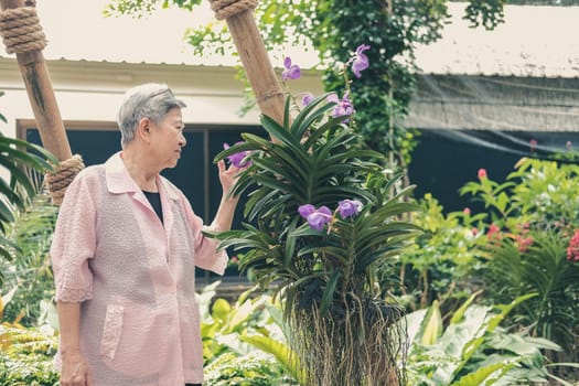 asian old elderly elder woman resting relaxing in garden. senior leisure lifestyle