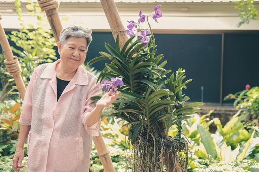 asian old elderly elder woman resting relaxing in garden. senior leisure lifestyle