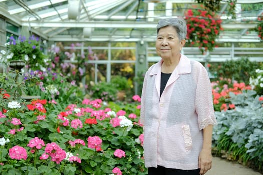 asian old elderly elder woman resting relaxing in garden. senior leisure lifestyle
