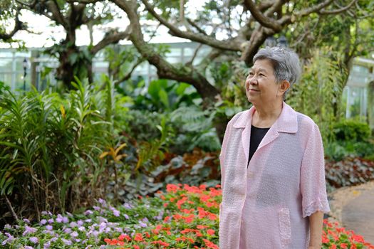 asian old elderly elder woman resting relaxing in garden. senior leisure lifestyle