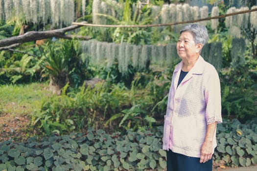 asian old elderly elder woman resting relaxing in garden. senior leisure lifestyle