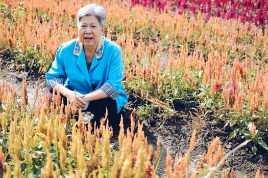 asian old elderly elder woman resting relaxing in flower garden. senior leisure lifestyle