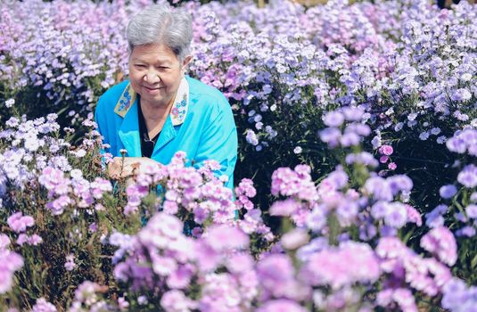 asian old elderly elder woman resting relaxing in flower garden. senior leisure lifestyle