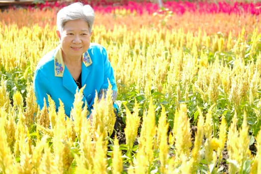 asian old elderly elder woman resting relaxing in flower garden. senior leisure lifestyle