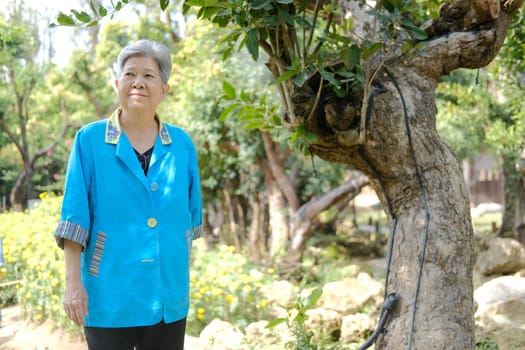 asian old elderly elder woman resting relaxing in garden. senior leisure lifestyle