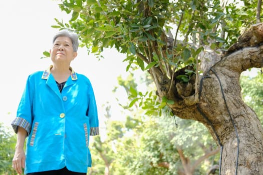 asian old elderly elder woman resting relaxing in garden. senior leisure lifestyle
