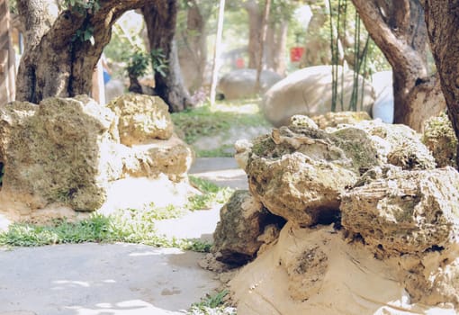 rock stone decorating in garden