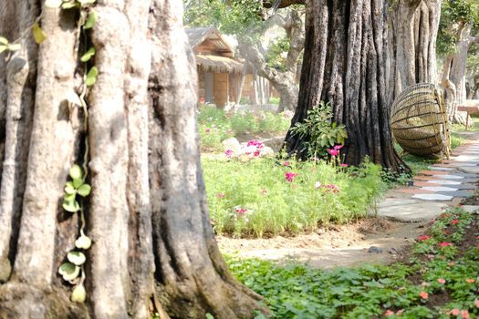big tree trunk in flower garden park