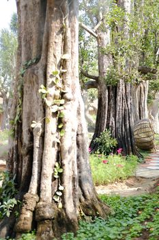 big tree trunk in flower garden park