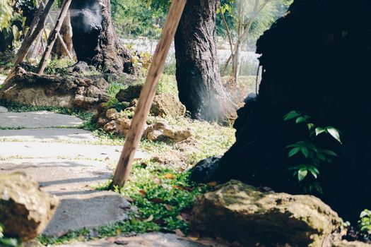 big tree trunk in flower garden park
