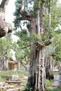 big tree trunk in flower garden