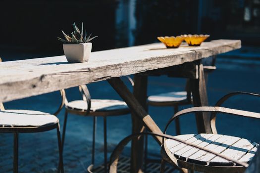 plant in flowerpot decorating on wooden table at home
