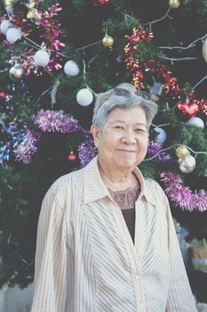 asian old elder woman elderly senior with christmas tree