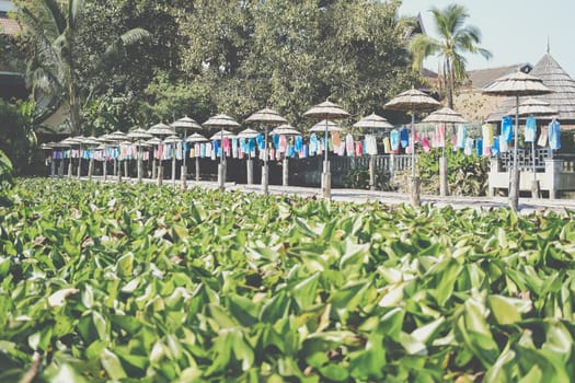wooden bamboo bridge decorating with fabric lantern