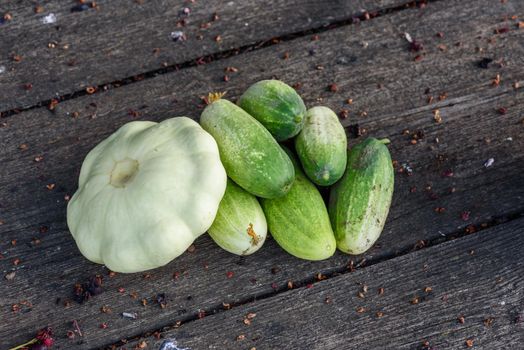 Pattypan squash and few cucumbers harvested from the vegetable garden beds lie on the wooden table