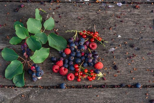 Ripe shadberry, redcurrant and raspberry with branch and leaves scattered on the weathered wooden table in garden. Top view