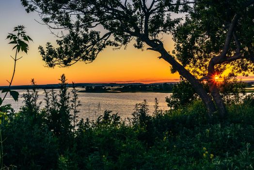 Shape of tree with sunset over the river on background