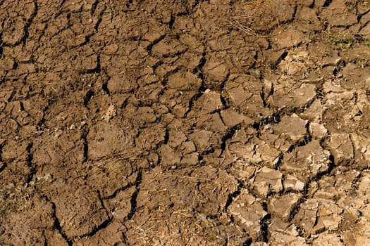 Cracked clay ground into the dry season.