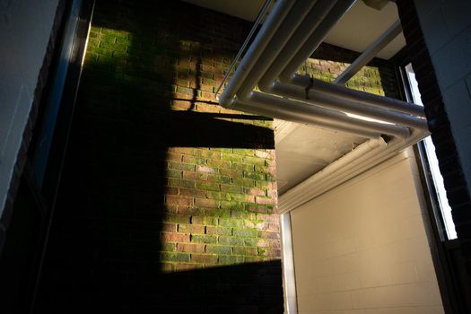 A Textured Brick Wall With Moss Growing on it and Half Lit by Orange Light Coming Through a Window