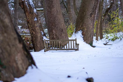 A Wooden Park Bench Next to a Tree In a Park Covered in Snow