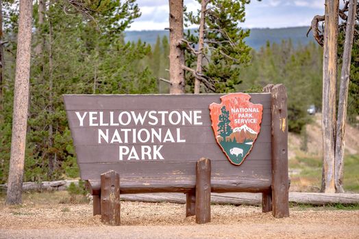 yellowstone national park nature scenes in wyoming USA